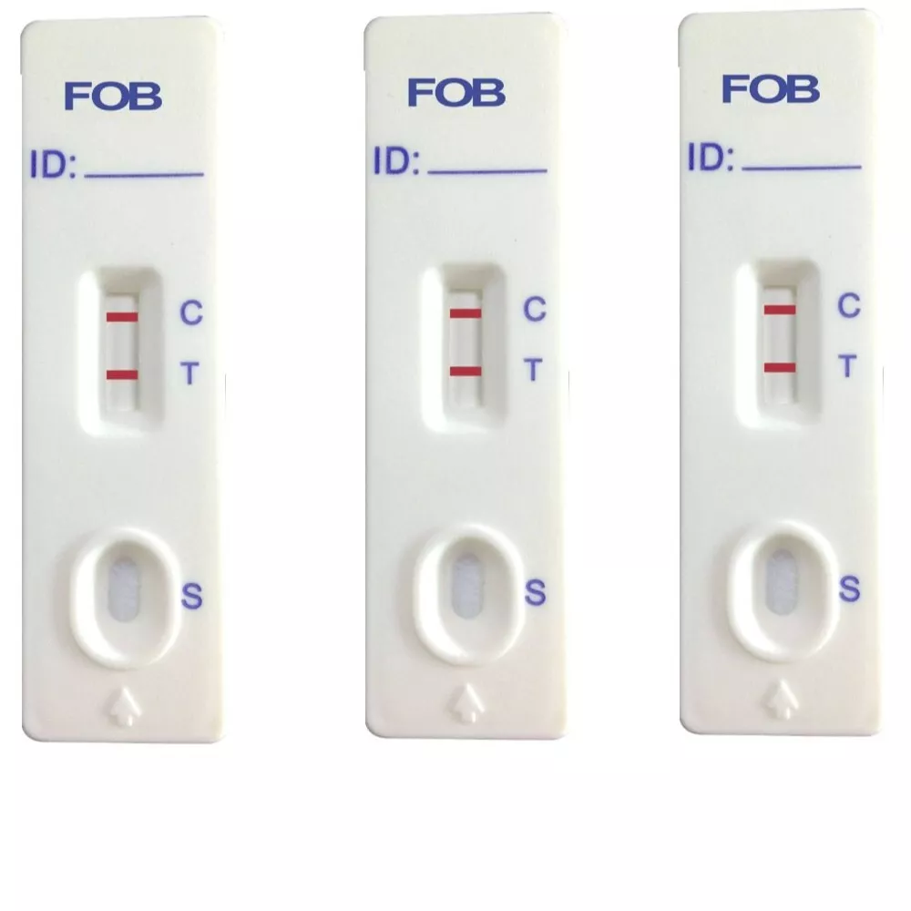 3 x GP/Professional Bowel Cancer Test Kits (Faecal Occult Blood) — bowel cancer test kit, tested from a stool sample